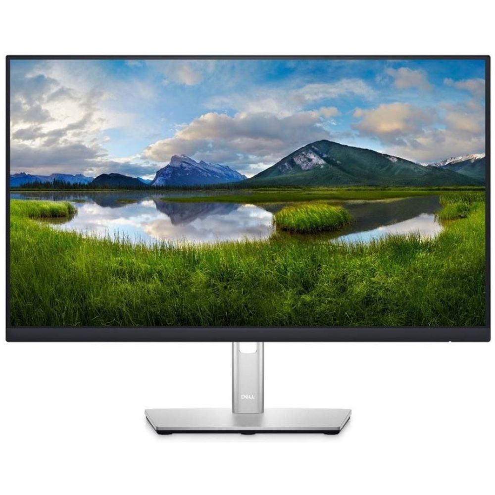 DELL P2422H IPS Ergonomic Monitor 24'' (210-AZYX) (DELP2422H)