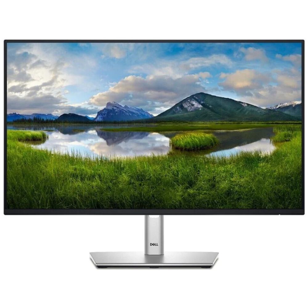 DELL P2425H FHD 100Hz IPS Monitor 24" (210-BMFF) (DELP2425H)